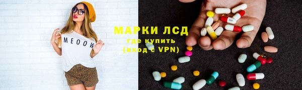 сатива Бородино