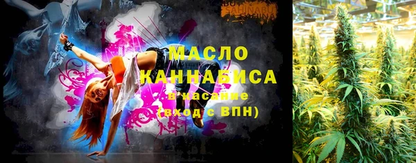 сатива Бородино