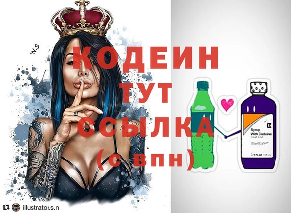 метадон Богданович