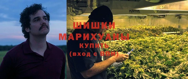 сатива Бородино