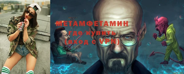 сатива Бородино