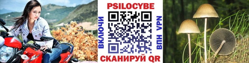 Псилоцибиновые грибы MAGIC MUSHROOMS  где купить наркоту  Володарск 