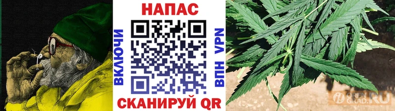 МАРИХУАНА сатива  даркнет сайт  darknet наркотические препараты  Володарск 